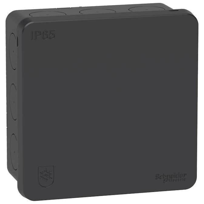 Kopplingsdosa Schneider Electric Mureva Utanpåliggande 2K med Klicklock IP65 utan Anslutningsplint