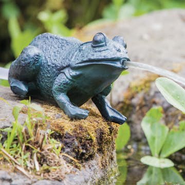 Dammfigur Heissner Groda