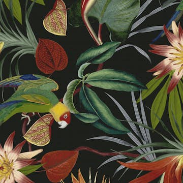 Tapet WOW Papegoja Svart