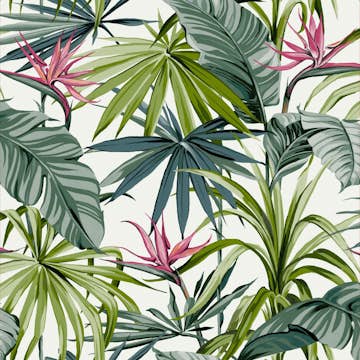 Tapet WOW Bird of Paradise Flower