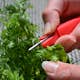 Sekatör Omnia Garden Mini Snip It Blandade Färger