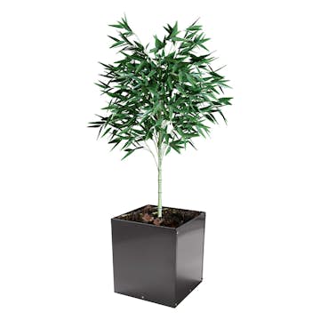 Ytterkruka Skotte Garden