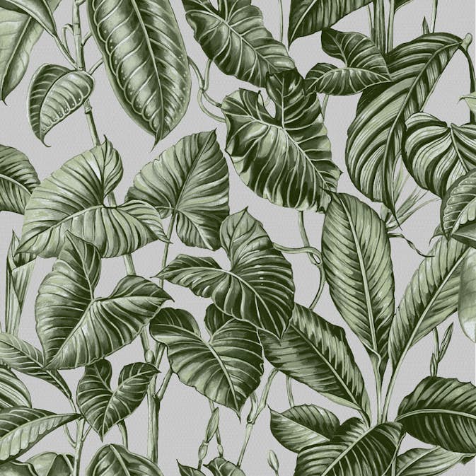 Tapet Superfresco Easy Noani Grön