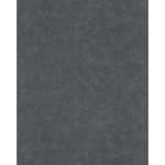 Tapet Lutéce Uni Noir Argent 11202319