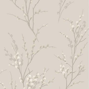 Tapet Laura Ashley Pussy Willow Dove Gra