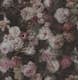Tapet Superfresco Easy Vintage Bloom 120966