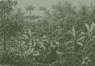 Fototapet LOOKS by Wolfgang Joop Looks Regnskog Grön 121029