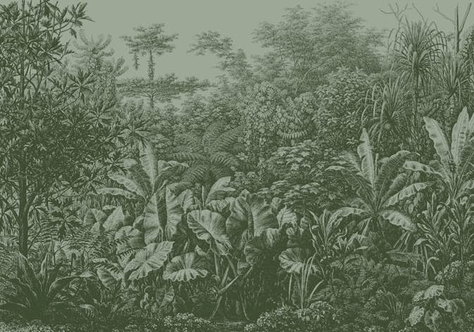 Fototapet LOOKS by Wolfgang Joop Looks Regnskog Grön 121029