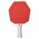 Pingisracket Stiga Sports Cybershape 1-Star