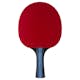 Pingisracket STIGA Sports 3-star Future