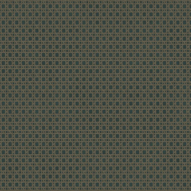Tapet Sublime Rotan Blå Grön 121861