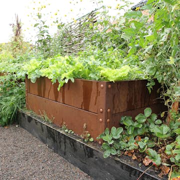 Odlingslåda Flexigarden Cortenplåt 2 mm 800x1200x400 mm