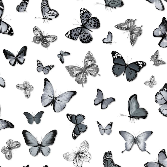 Tapet ESTAhome Fjärilar Svart/Vit