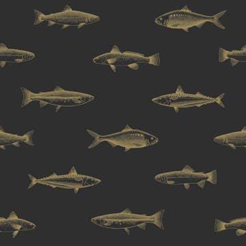 Tapet ESTAhome Tecknad Fisk EW139124
