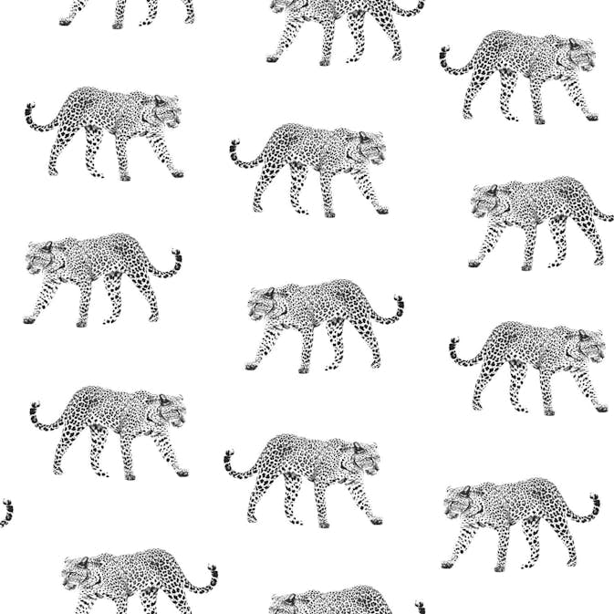 Tapet ESTAhome Pantrar EW139176