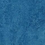 Linoleum