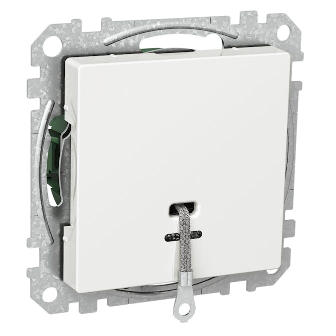 Dragströmbrytare Schneider Electric Exxact