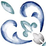 Klinker Lhådös Mandy Flore Blue 15x15 cm