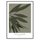 Poster Gallerix Botanical Graphic No1