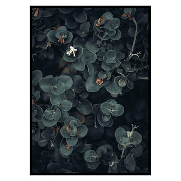 Poster Gallerix Dark And Green Botanical