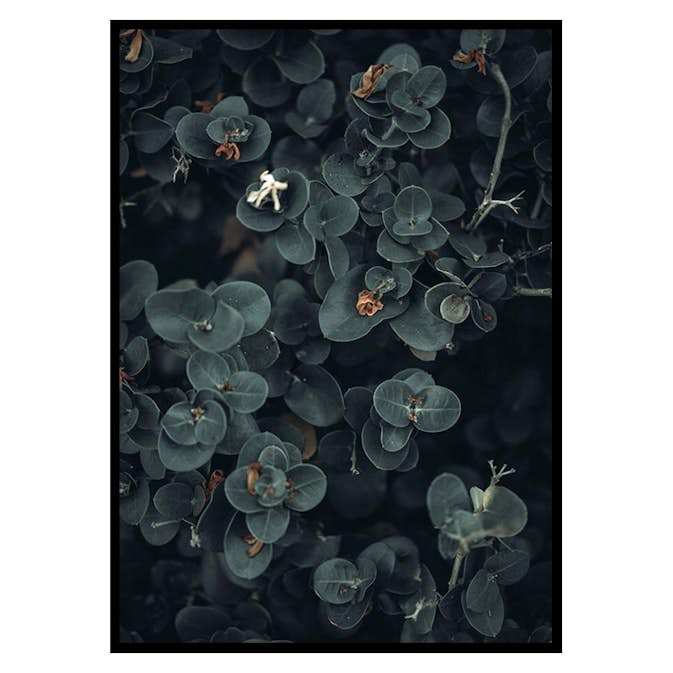Poster Gallerix Dark And Green Botanical