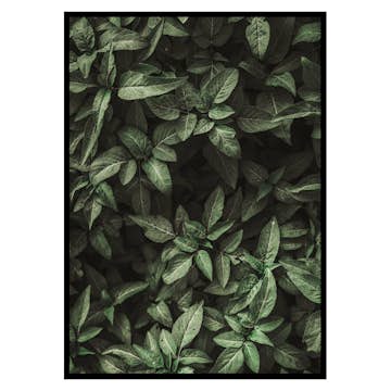 Poster Gallerix Garden Green No1