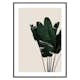 Poster Gallerix Banana Leaves Natural