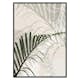 Poster Gallerix Abstract Palm Leaves No2