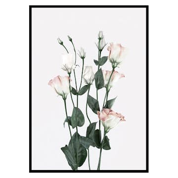 Poster Gallerix Rose Bouquet No2