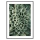 Poster Gallerix Green Petals