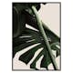 Poster Gallerix Monstera One
