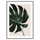 Poster Gallerix Monstera Two