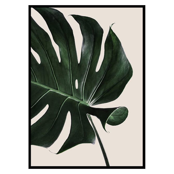 Poster Gallerix Monstera Two
