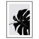 Poster Gallerix Monstera Black