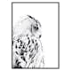Poster Gallerix Snow Owl