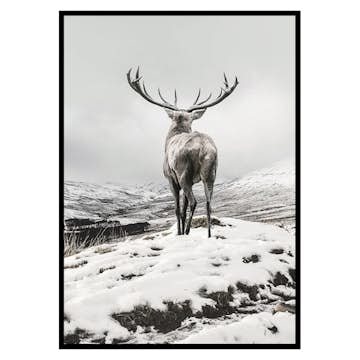 Poster Gallerix Winter Roe Deer
