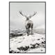 Poster Gallerix Winter Roe Deer
