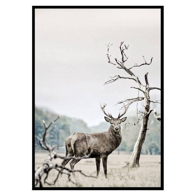 Poster Gallerix Winter Deer