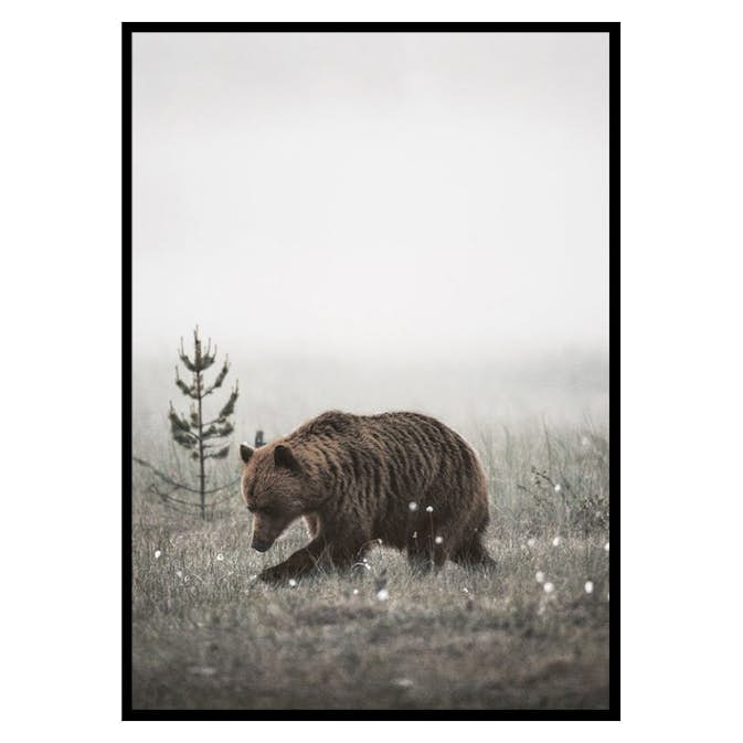 Poster Gallerix Winter Bear