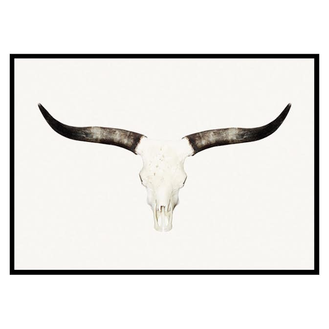 Poster Gallerix Animal Skull