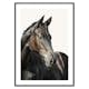 Poster Gallerix Brown Horse