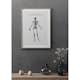 Poster Gallerix Kroppens Skelett