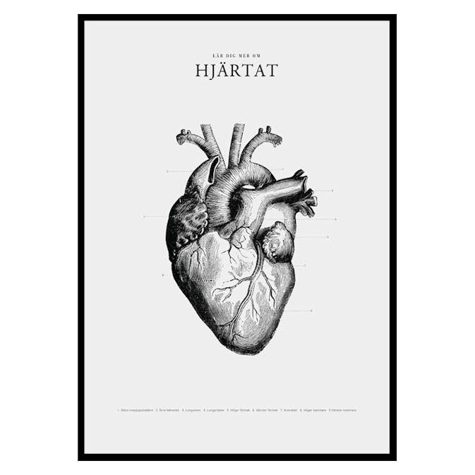 Poster Gallerix Hjärtat