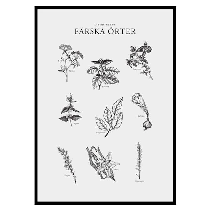 Poster Gallerix Färska Örter
