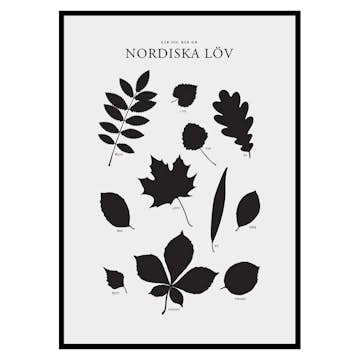 Poster Gallerix Nordiska Löv