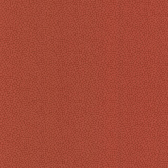 Tapet Decor Maison OAS 2727