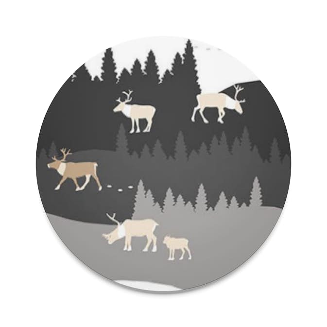 Grytunderlägg Arvidssons Textil Renland Rund