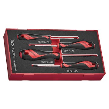 Skruvmejselsats Teng Tools 4-Delar TEAMD04N1