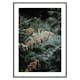 Poster Gallerix Fern No2
