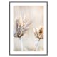 Poster Gallerix Dried Plants No1